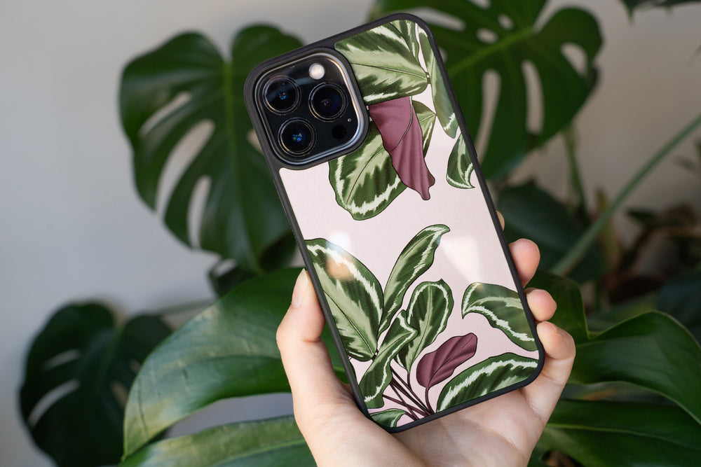 Calathea Plant Phone Case