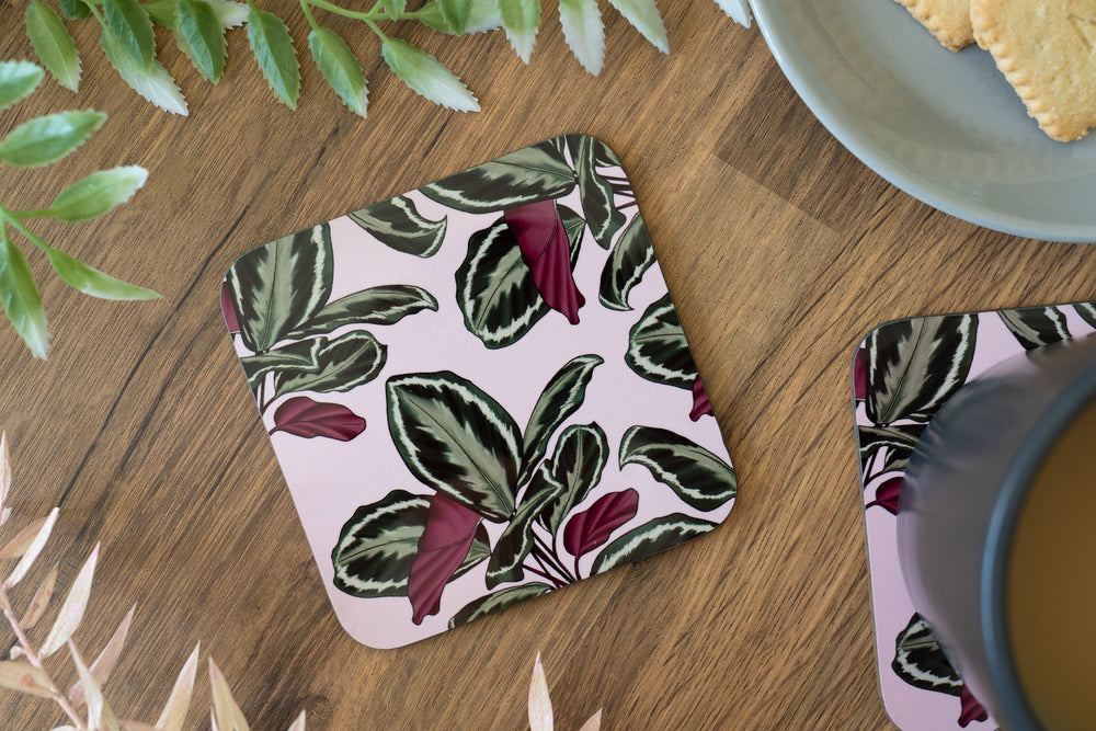 Calathea Plant Coaster