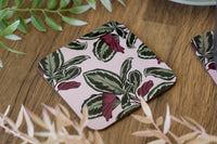 Calathea Plant Coaster