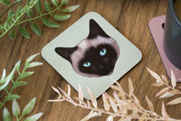 Pointed Cat Coaster