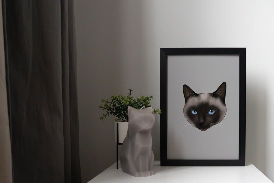 Siamese Pointed Cat Art Print