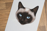 Siamese Pointed Cat Art Print