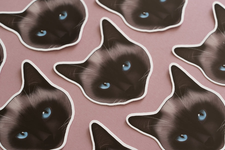 Pointed Cat Sticker