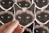 Pointed Cat Sticker