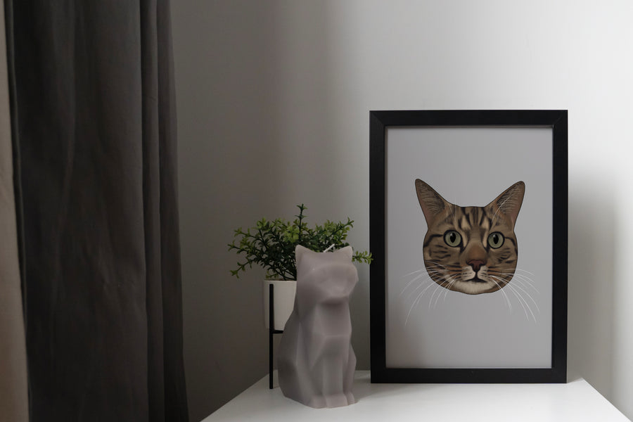 Brown Tabby Cat Art Print