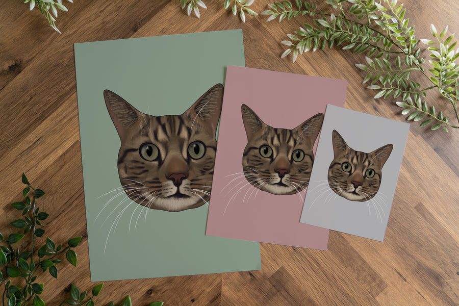 Brown Tabby Cat Art Print