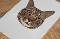 Brown Tabby Cat Art Print