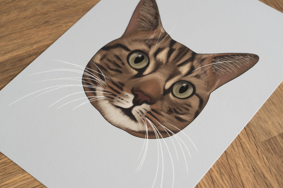 Brown Tabby Cat Art Print