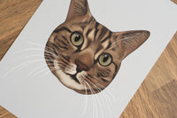 Brown Tabby Cat Art Print