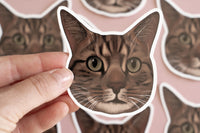 Tabby Cat Sticker