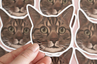 Tabby Cat Sticker