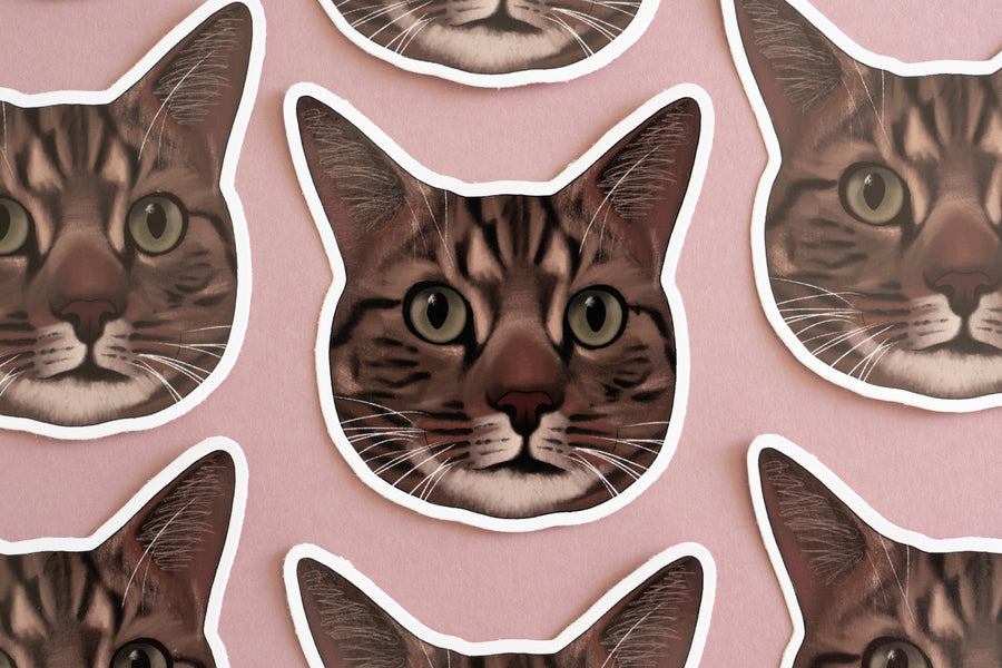 Tabby Cat Sticker