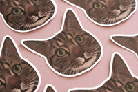 Tabby Cat Sticker