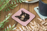 Tortoiseshell Cat Coaster