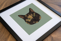 Tortoiseshell Cat Print