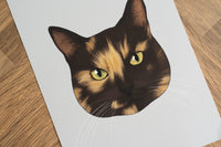 Tortoiseshell Cat Print