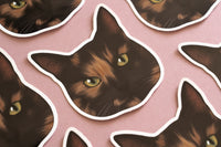 Tortoiseshell Cat Sticker