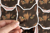 Tortoiseshell Cat Sticker