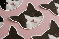 Black & White Cat Sticker