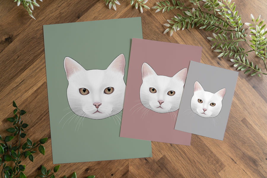 White Cat Art Print