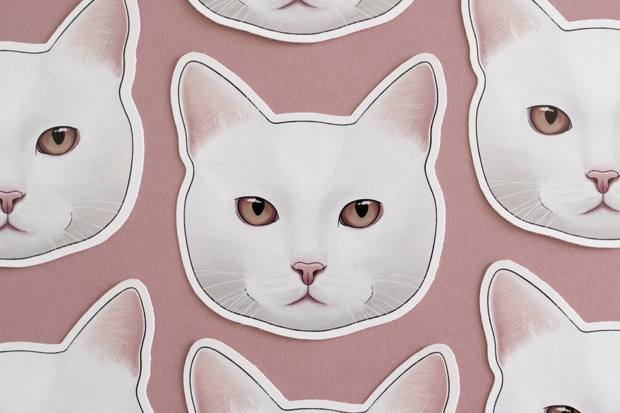 White Cat Sticker