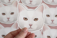 White Cat Sticker