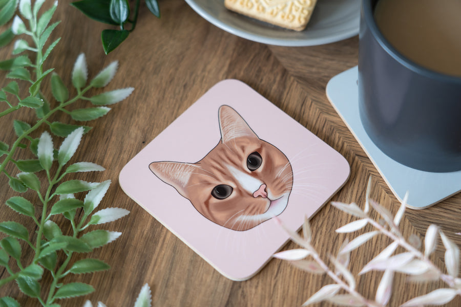 Cat Face Coasters Neutral
