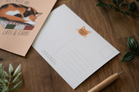 Cats Postcard Set