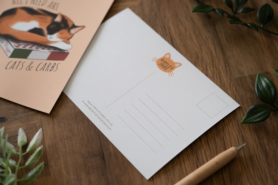 Cats Postcard Set