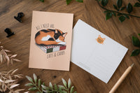 Cats Postcard Set