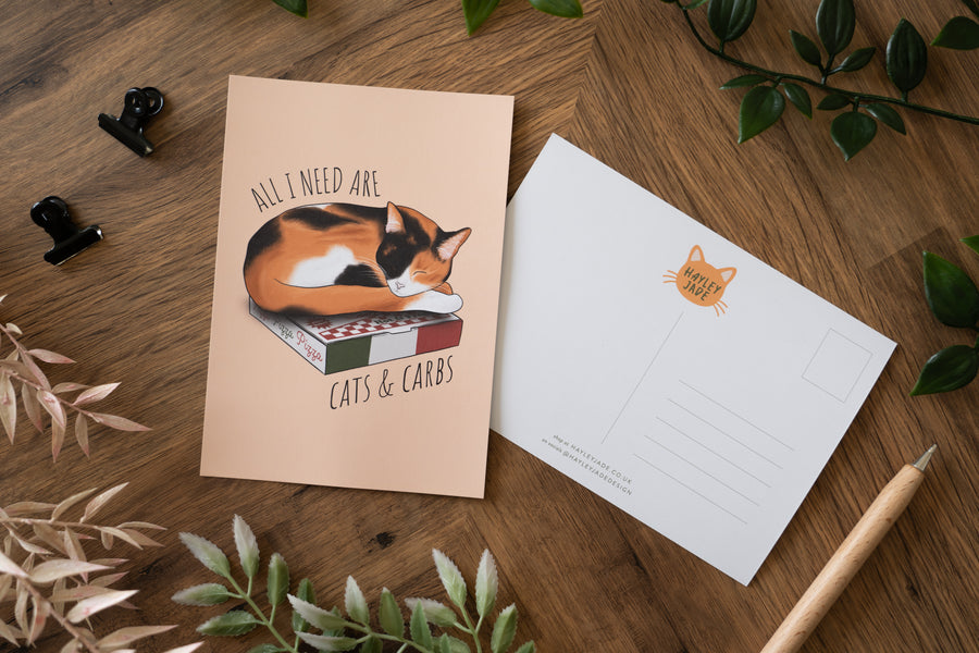 Cats Postcard Set