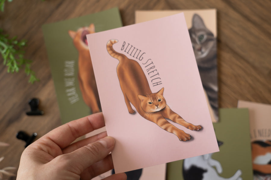 Cats Postcard Set