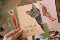 Cats Postcard Set