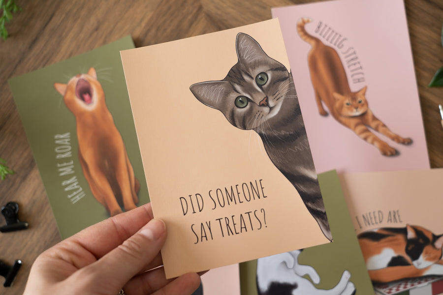 Cats Postcard Set