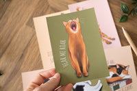 Cats Postcard Set