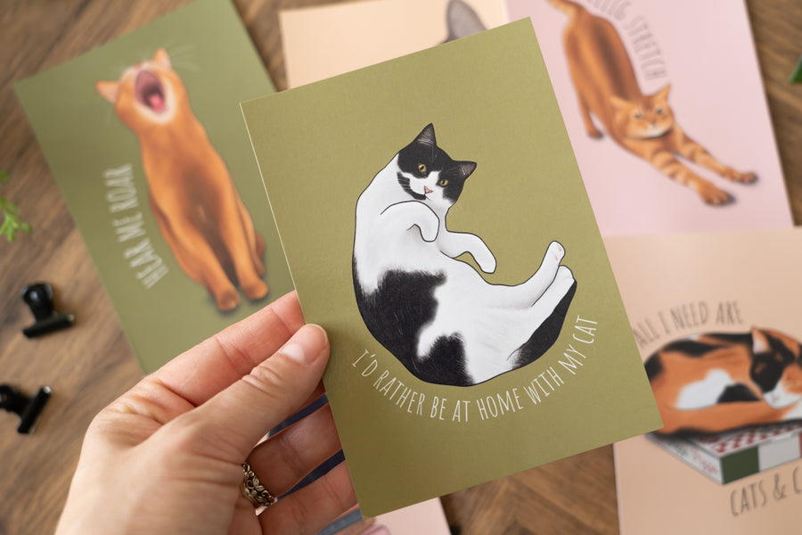 Cats Postcard Set
