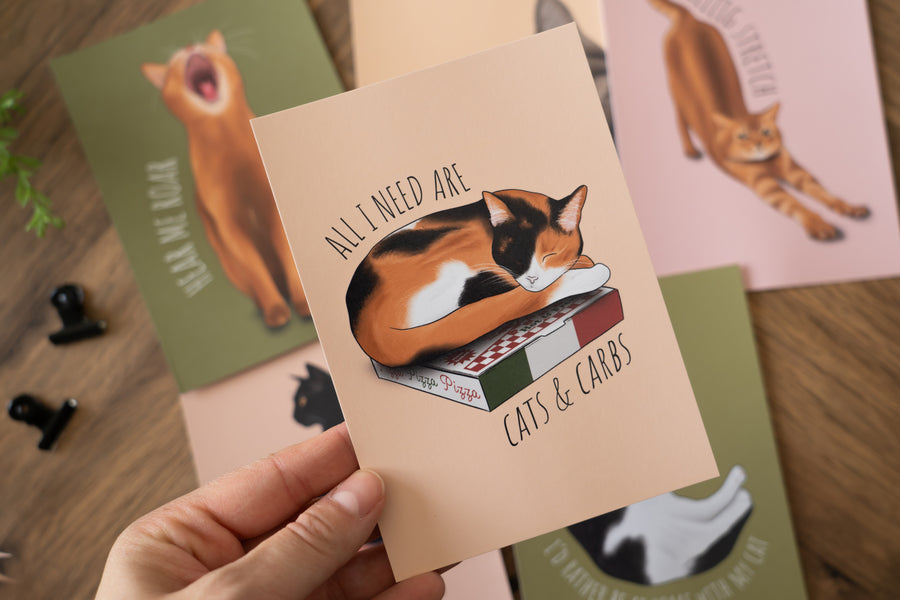 Cats Postcard Set