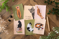 Cats Postcard Set