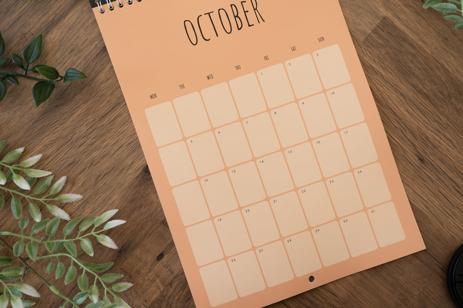 Cat 2027 Calendar - Seconds