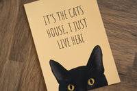 It's The Cats House Print