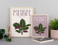 Calathea Houseplant Art Print