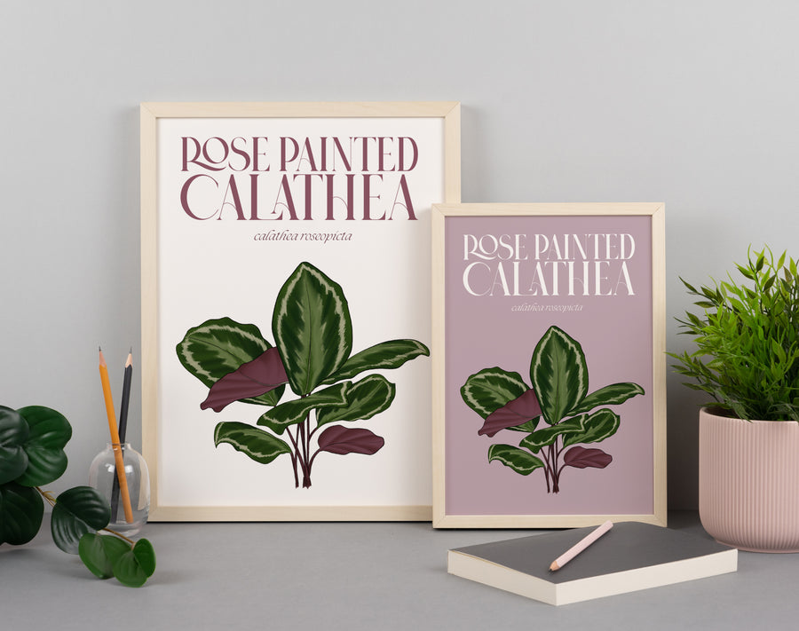 Calathea Houseplant Art Print