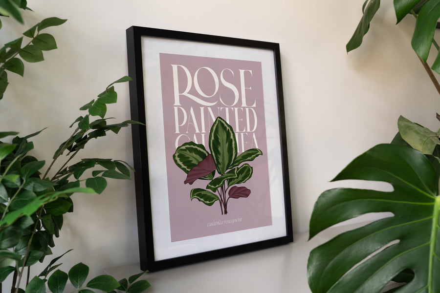 Calathea Houseplant Art Print