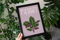 Calathea Houseplant Art Print