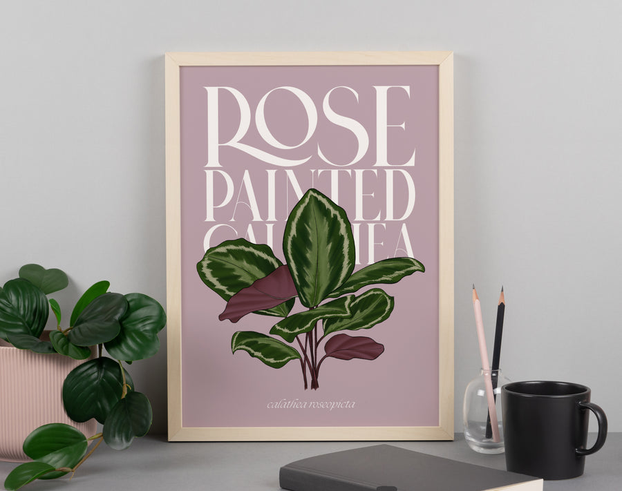 Calathea Houseplant Art Print