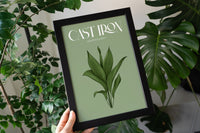 Cast Iron Houseplant Art Print