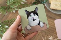 Cats Doing Things Coaster Set