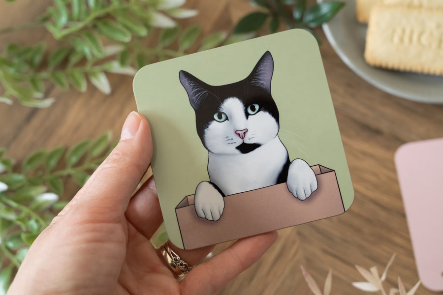 Cats Doing Things Coaster Set