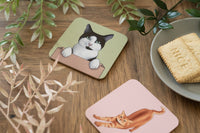 Cats Doing Things Coaster Set