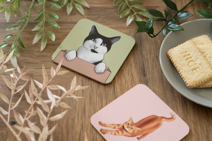Cats Doing Things Coaster Set